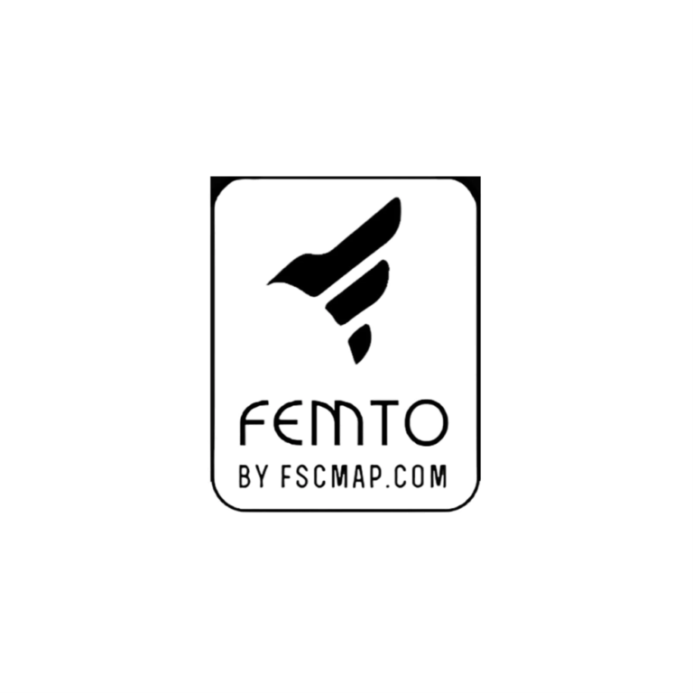 FEMTO Logo Black PNG