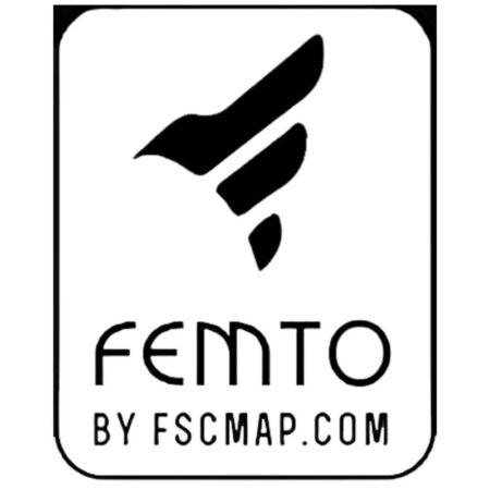 FEMTO